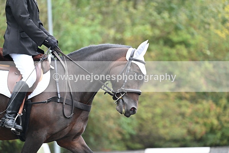 WJ7_3036 - Time 09:00 to 09:35