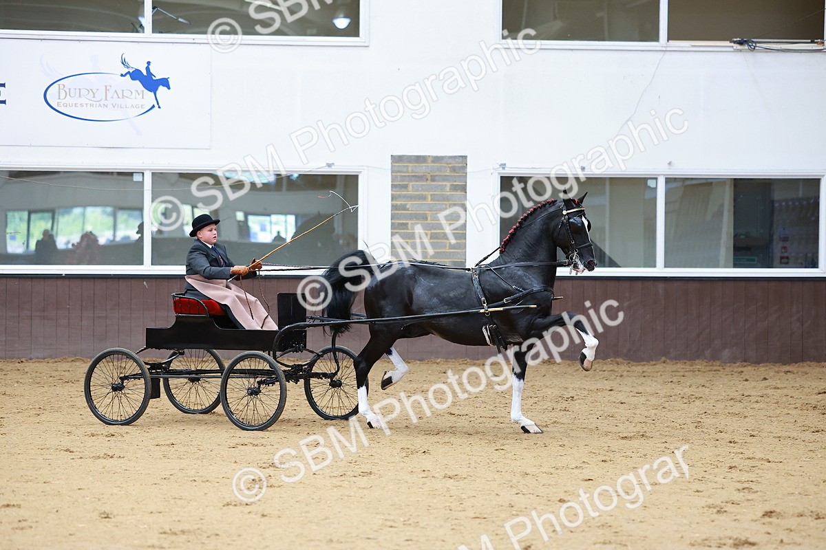 SBM_001020 - Class 13  - HHS Championship Intl Hackney Horse to a Show Wagon