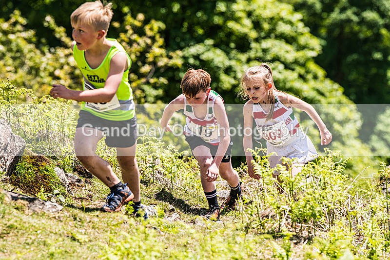 Coniston Junior-10 - Coniston Gullies Junior Fell Races Sunday 24th May 2026