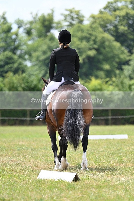 WJ7_5588 - Time 11:52 to 12:10