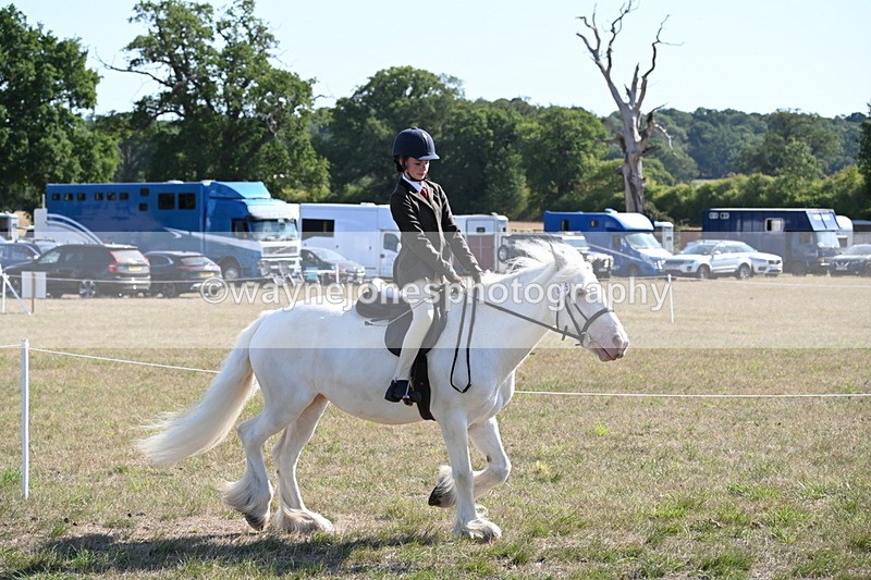 WJ6_7479 - Class 34 Judges Choice