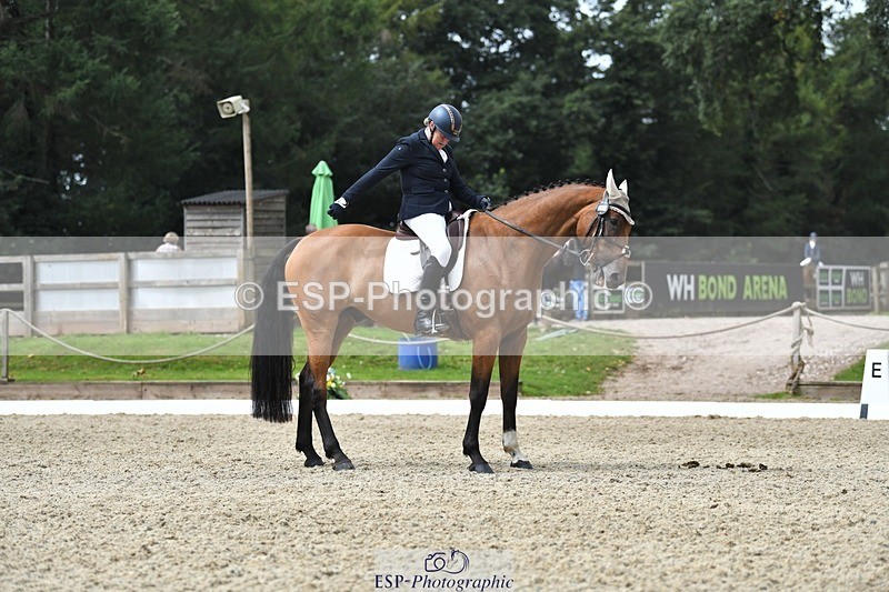 230812-115036-03712 - Cls 6 Novice Silver 10.30 to 11.55 break