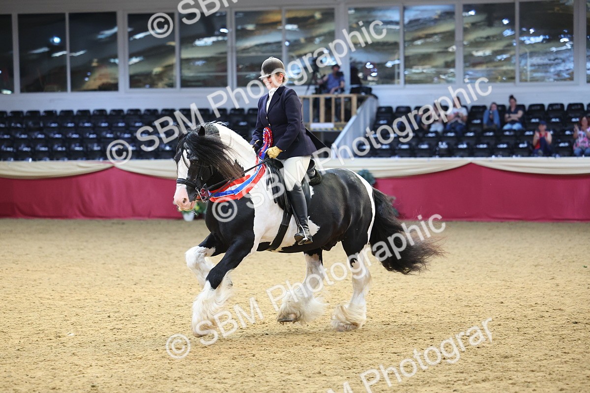 SBM_24972 - Supreme Final - Ridden Champion