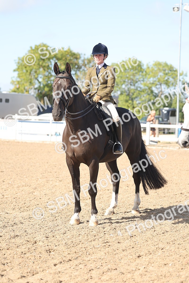 SBM_22673 - Class 805 - Ridden Veteran Horse