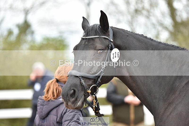 240417A-142504-00512 - 2pm to 3pm