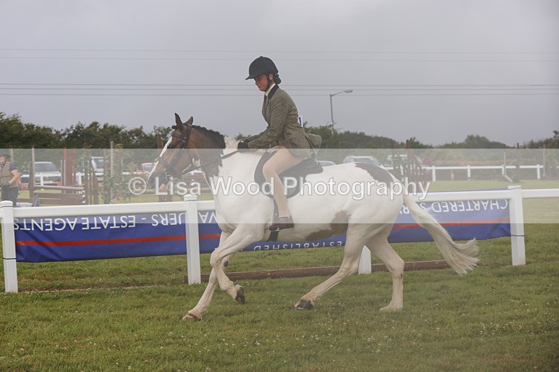 1X9A3024 - Class 26: Ridden Plaited Coloured Pony