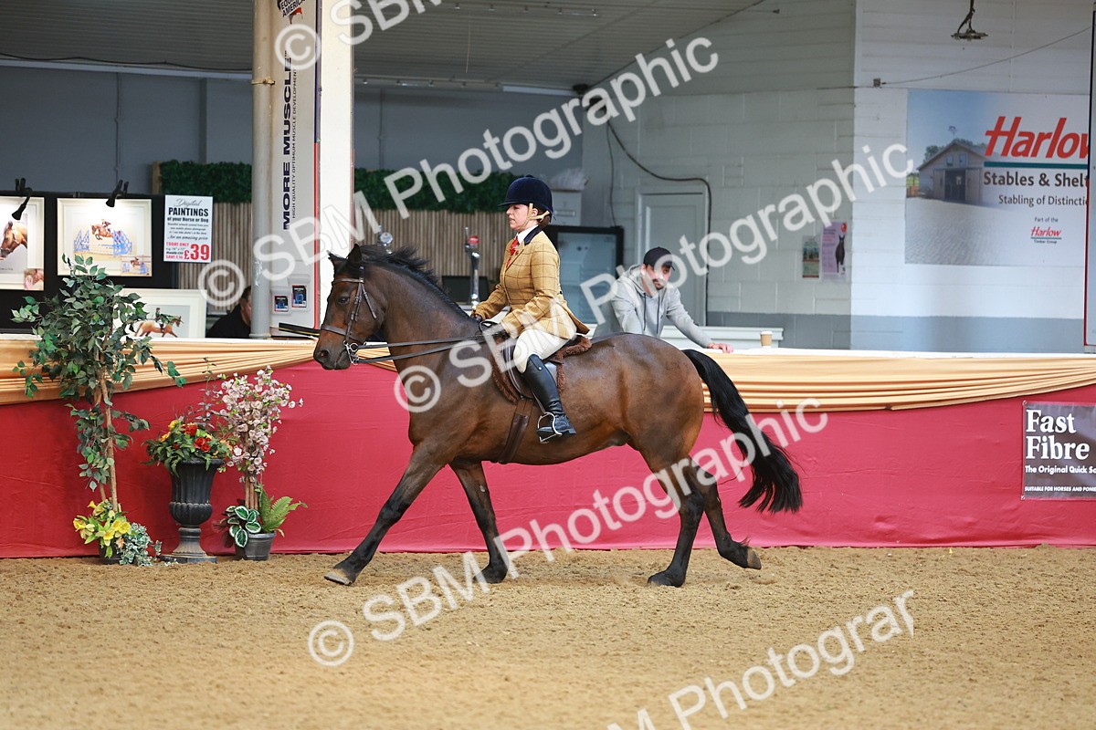 SBM_09715 - Class 102 - HOYS Veteran Qualifier - Ridden Veteran