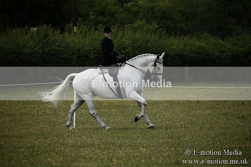 BVR160717-1640 - Side Saddle Classes 16/07/17
