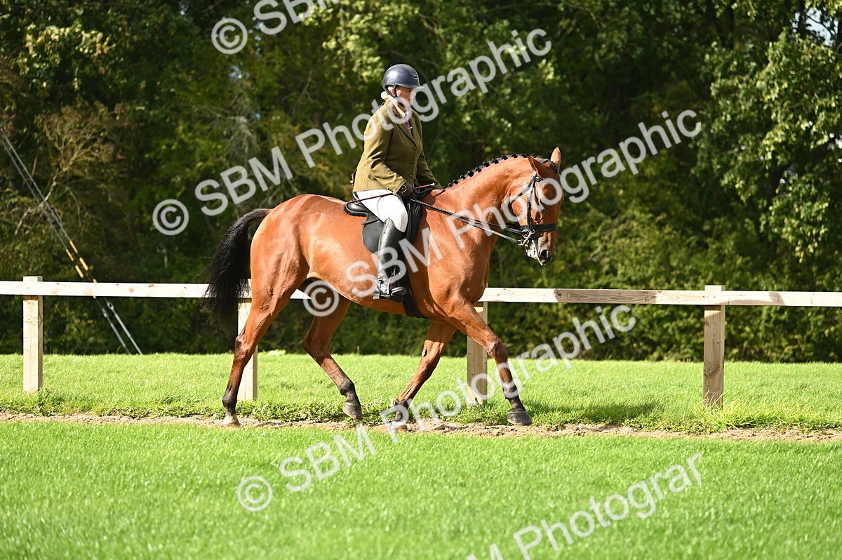 SBM_26321 - S6 - Novice & newcomer Ridden horse