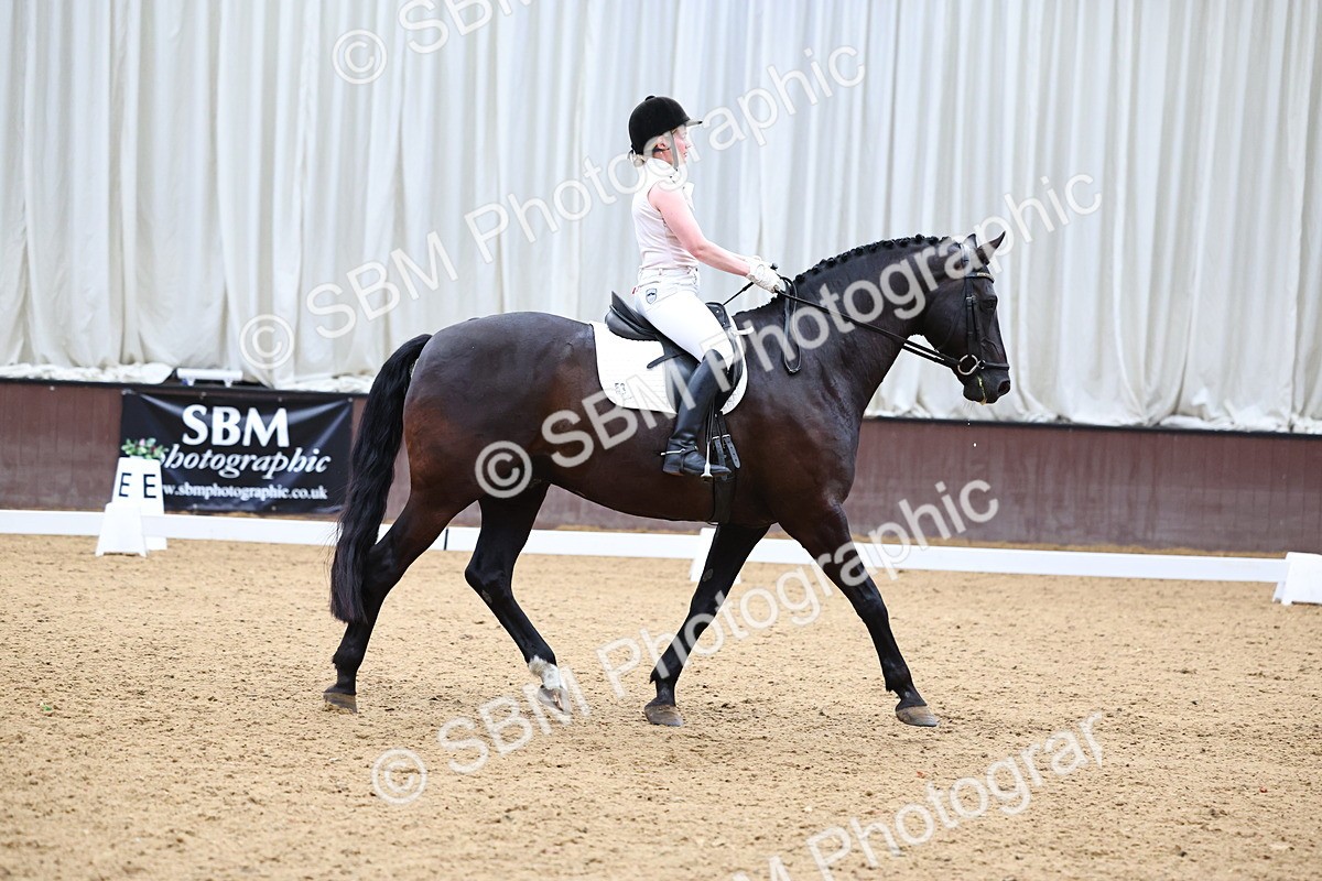 SBM_005527 - Elementary 2