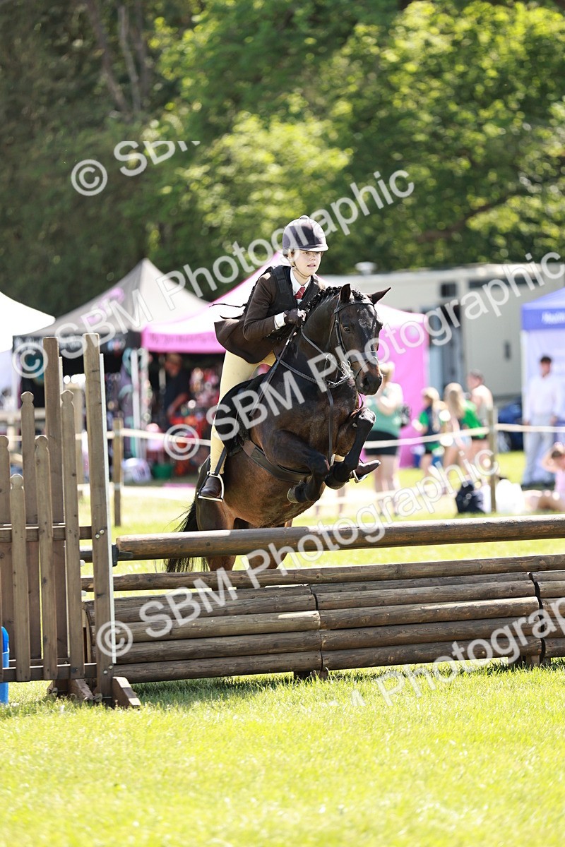 SBM_17639 - Class 112-113 - BSPS LIHS Working Sports Pony