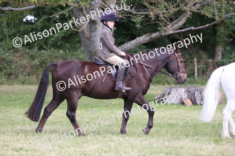 20260614-0801 - Class 20 - Beginners Working Hunter Pony