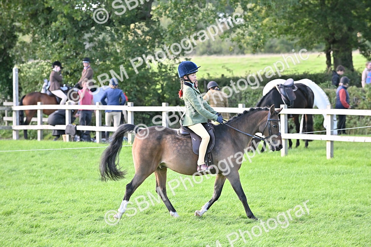 SBM_51240 - S22 - First Ridden show and show Hunter Pony