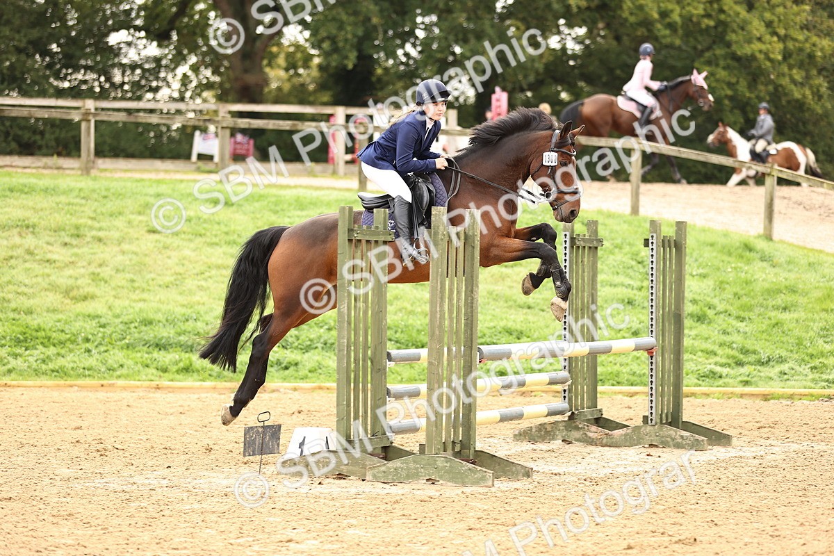 SBM_58493 - J41 - Grand Tour Horse & Pony 95cm