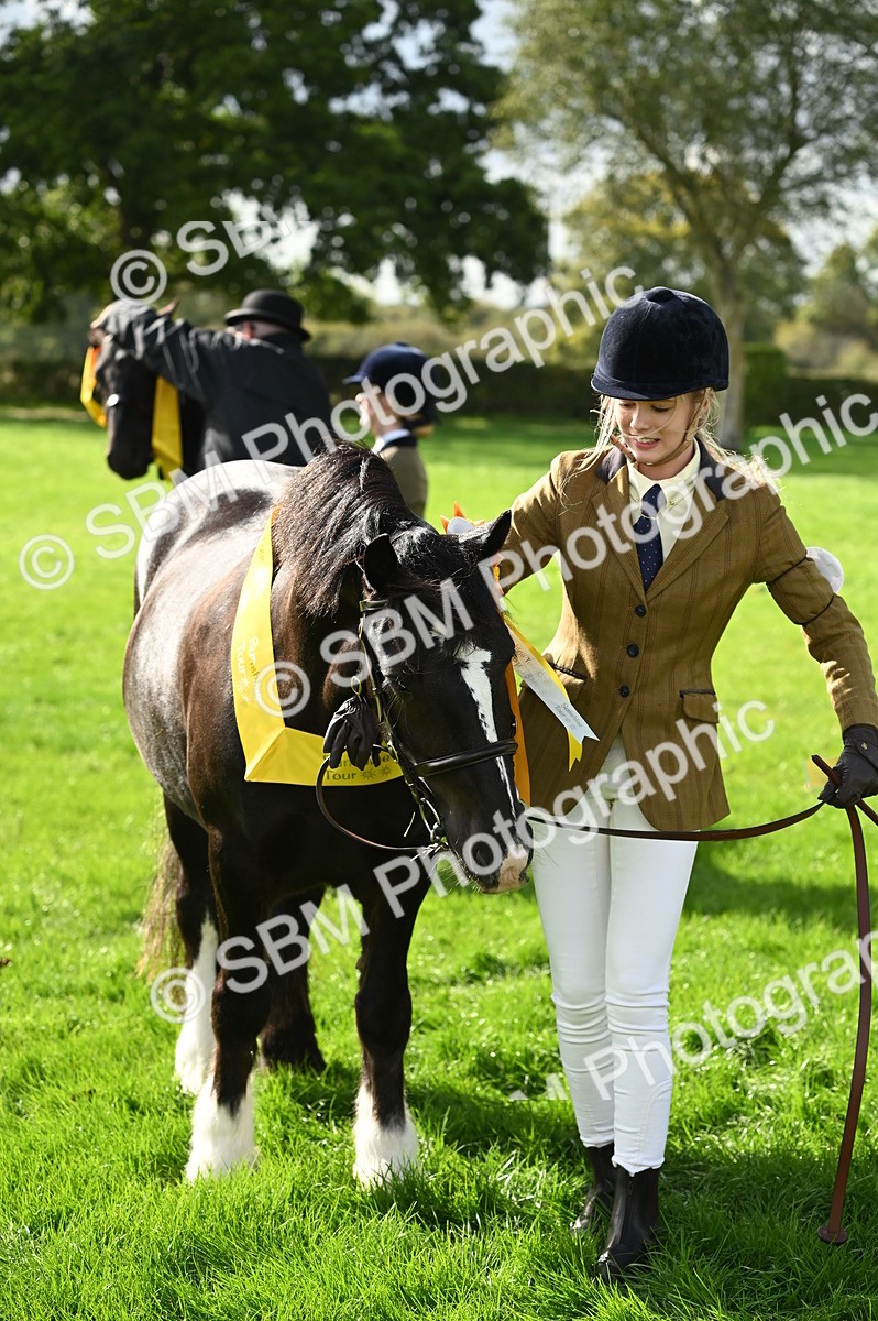 SBM_25050 - S5 - Novice & Newcomer In hand