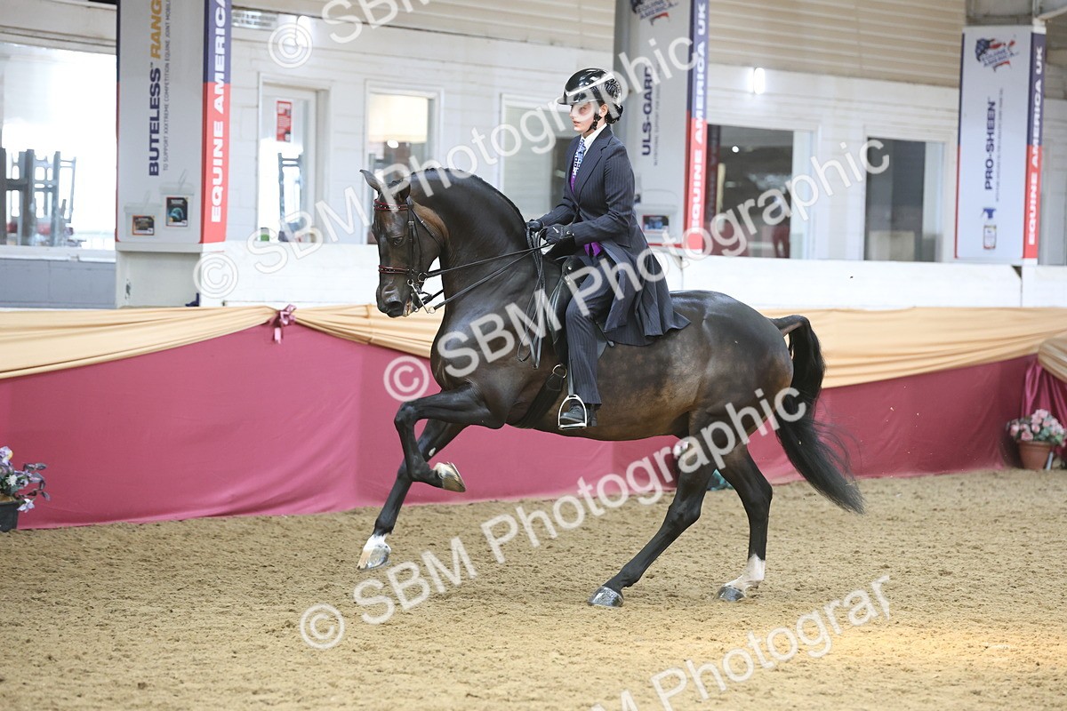SBM_23771 - class 906 - Supreme Final - Ridden Pre Vet
