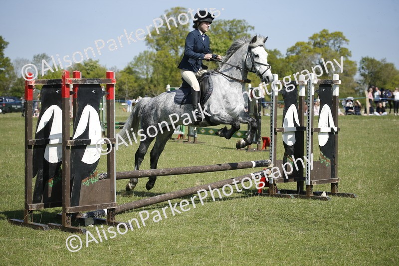 20250427-2165 - Class 13 - Novice Jumping 60cm