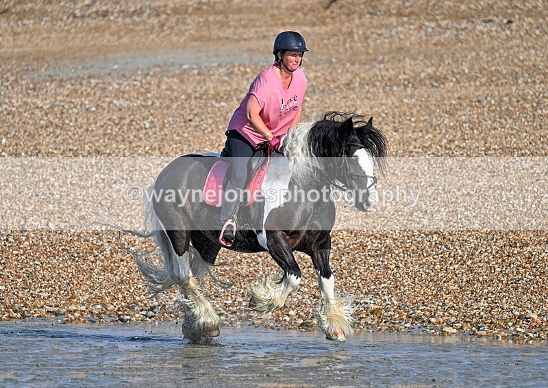WJ7_3800_1 - Kellie & Churchill ... do Hayling Island 25-08-24