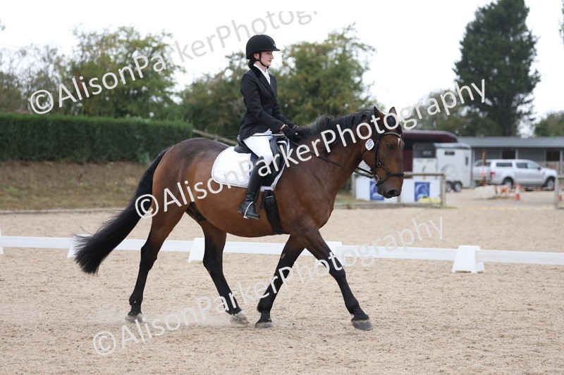 20250820-0334 - Class 11 - My Quest Novice 3