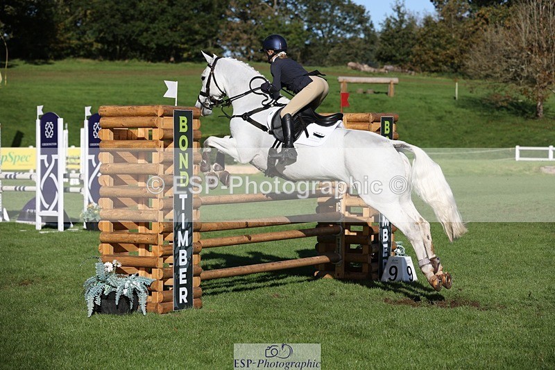 231022-110534-24952 - 653-GREYΓÇÖS.VILLAGE.MELODY-Annabel.Ridgway-TrotUp+SJ