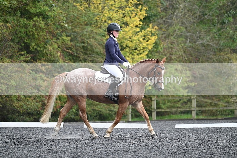 WJ7_3735 - Time 11:04 to 11:38