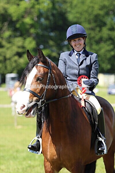 IMG_4192 - Working Hunter