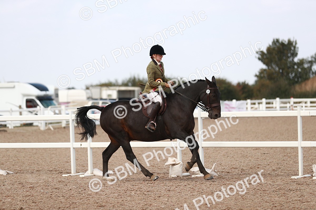 SBM_14938 - Class 212 Ridden Hunter - Small