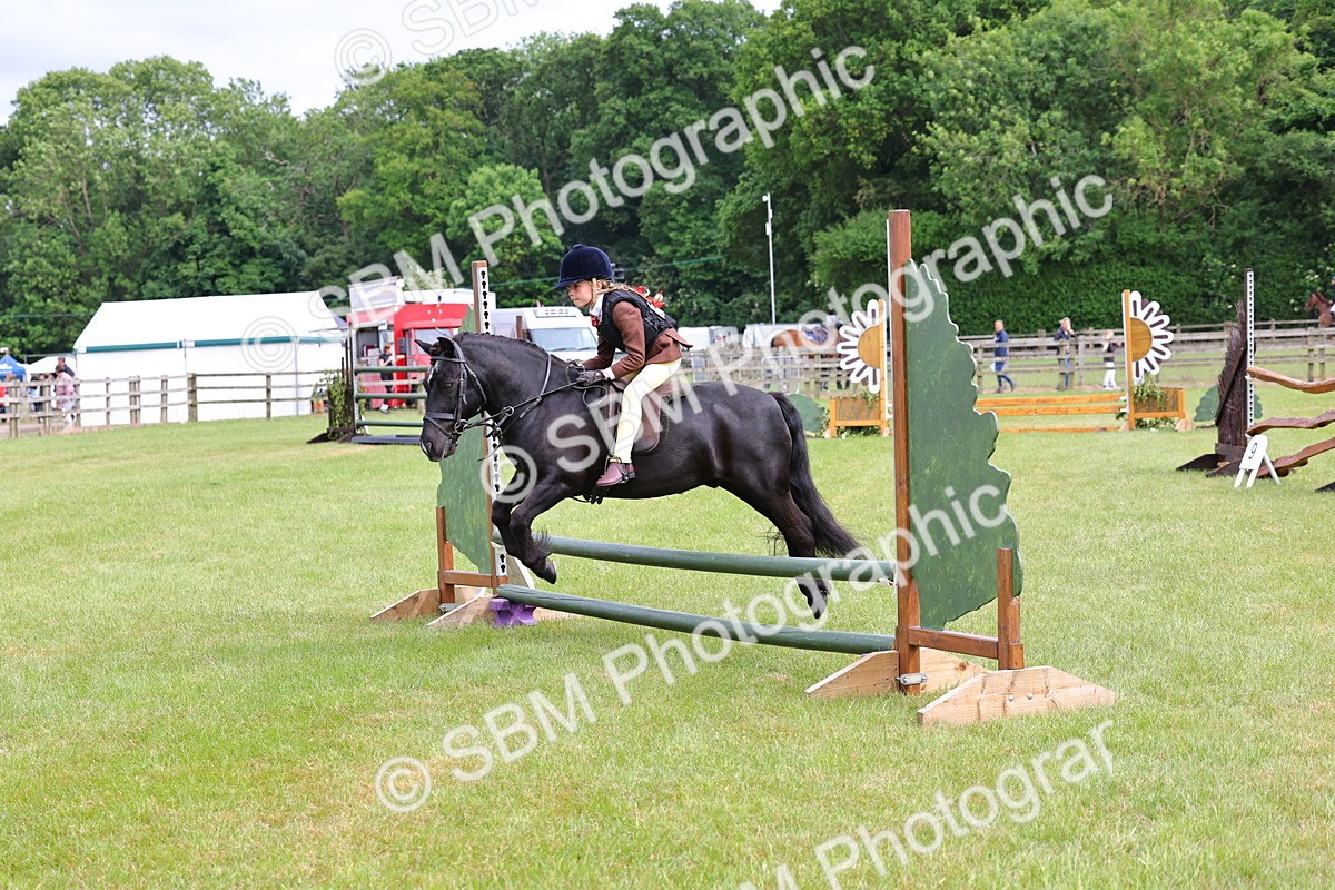 SBM_09451 - Class 44-45 - LIHS BSPS Open Nursery and Cradle Stakes