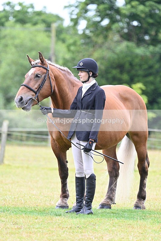 WJ7_6340 - Class 4a Prettiest Mare over 14hh