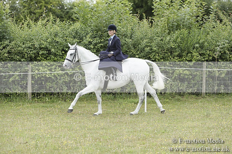 BVR160717-2374 - Side Saddle Classes 16/07/17
