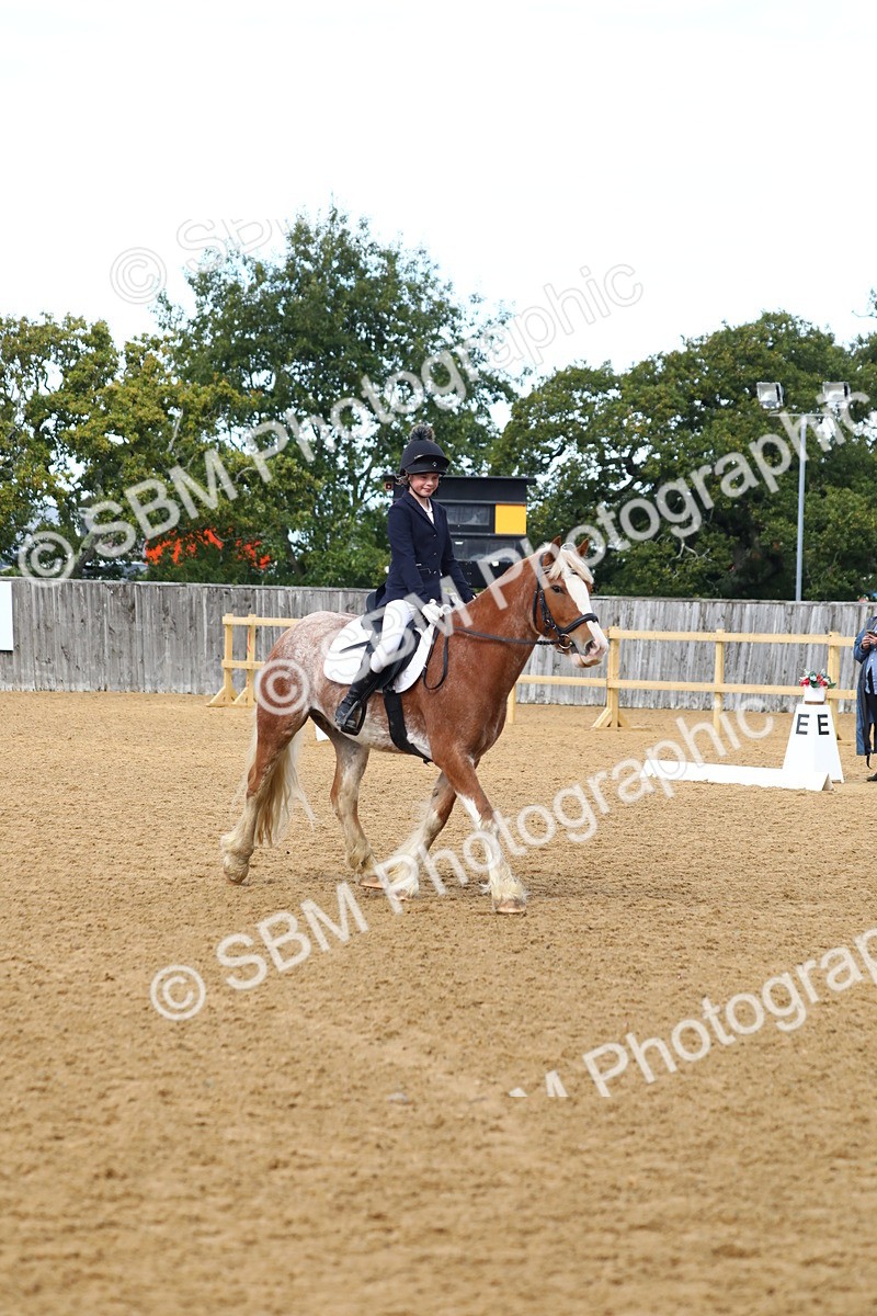 SBM_42642 - D21 - Junior Championship Intro 1