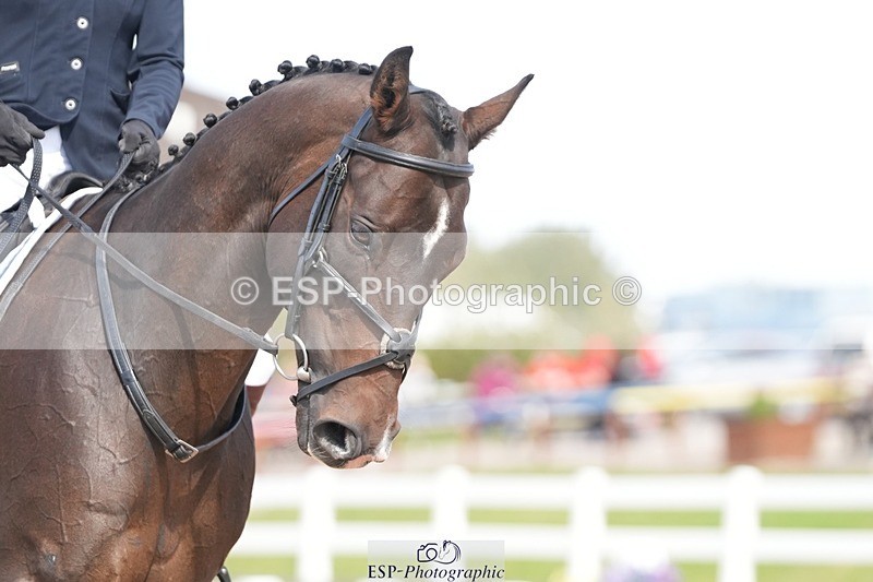 250906-141439-03899 - 068-Emma.LeedingViaduct