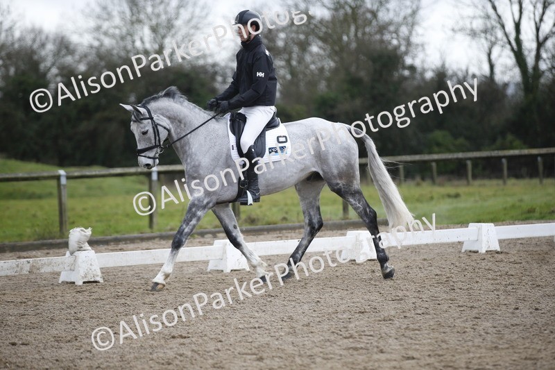 20260127-0291 - Class 16 - BD Novice 2