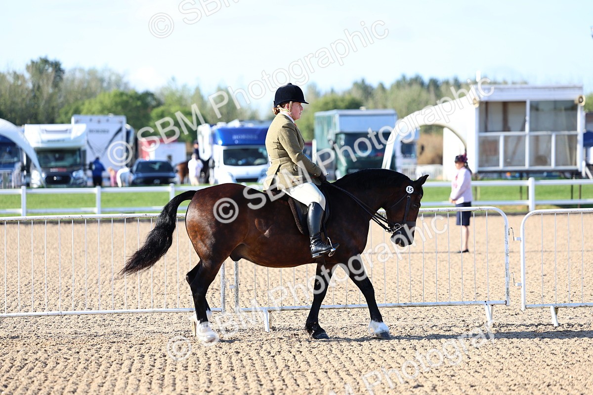 SBM_08719 - Class 302 - Ridden M&M - Large Breeds