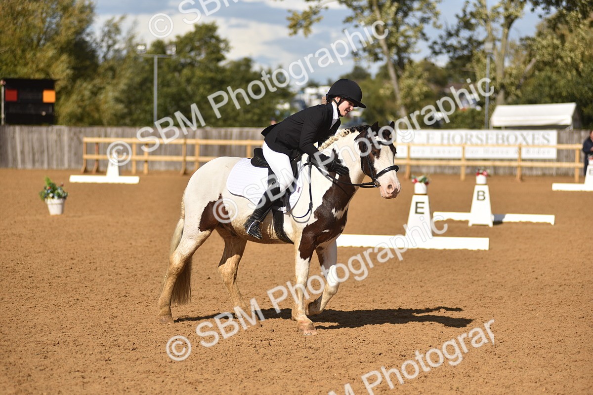 SBM_48700 - D22 - Junior Championship Intro 3