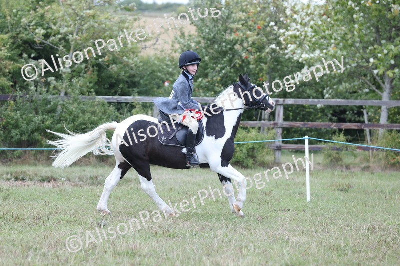 20250831-4368 - Class 20 - Ridden Coloured