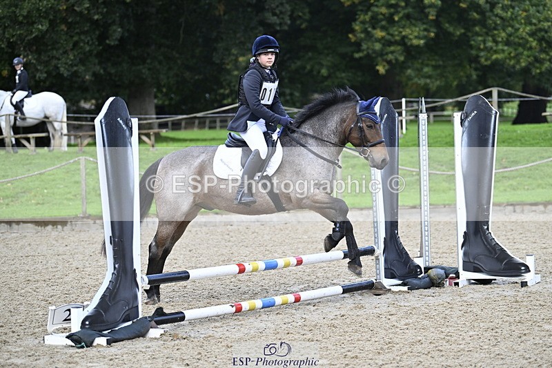 251005A-085454-02882 - Cls 02 GR 50cm