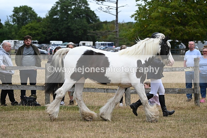 WJ6_8358 - Class 10 Coloured in Hand