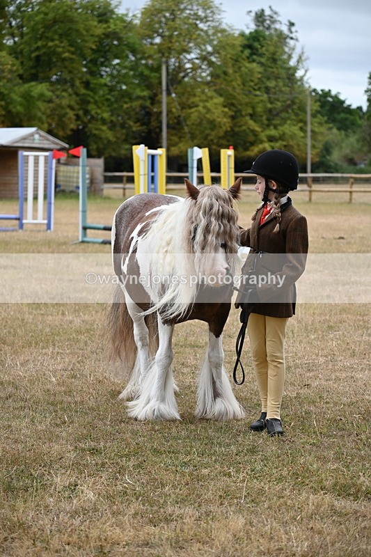 WJ6_8416 - Class 10 Coloured in Hand