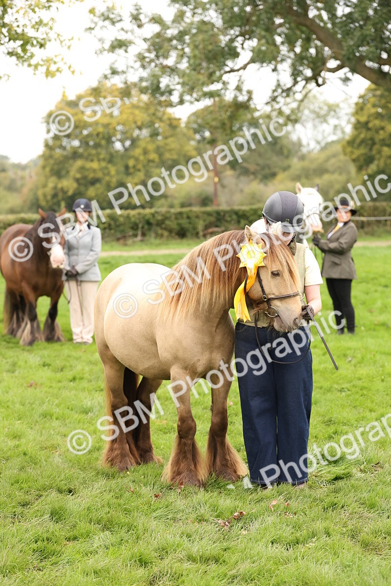 SBM_59368 - S57 - Traditional Cob In Hand