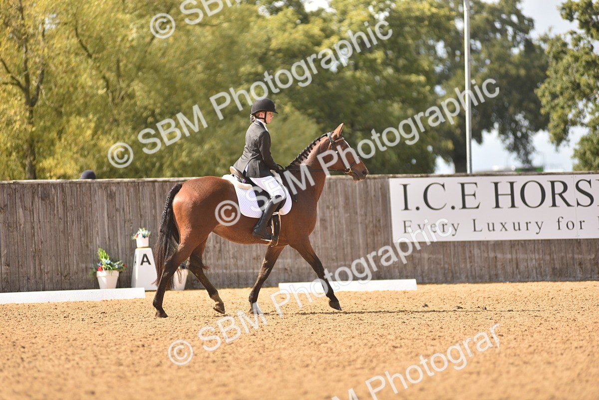 SBM_48727 - D22 - Junior Championship Intro 3