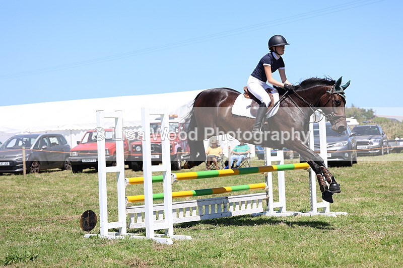 3E7A5514 - Class 9: Senior British Novice/90cm open