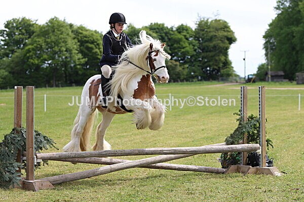 IMG_3051 - Working Hunter