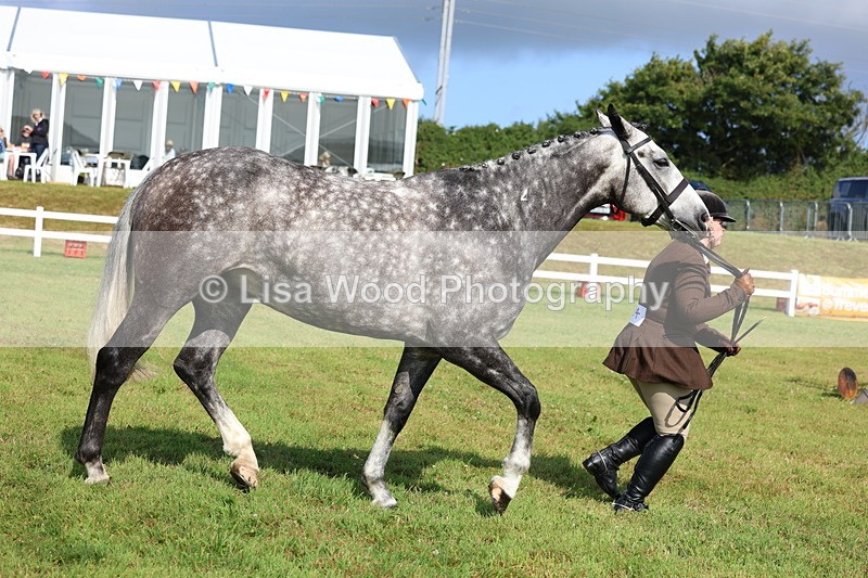 3E7A9099 - Class 3: Rising Star S/L Hunter