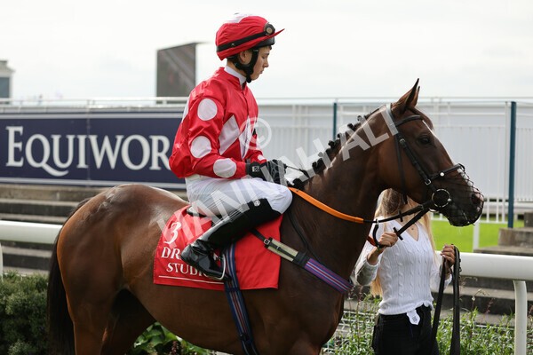 yr04092022p1-23 - 12.30pm 148cm Conditions Pony Race