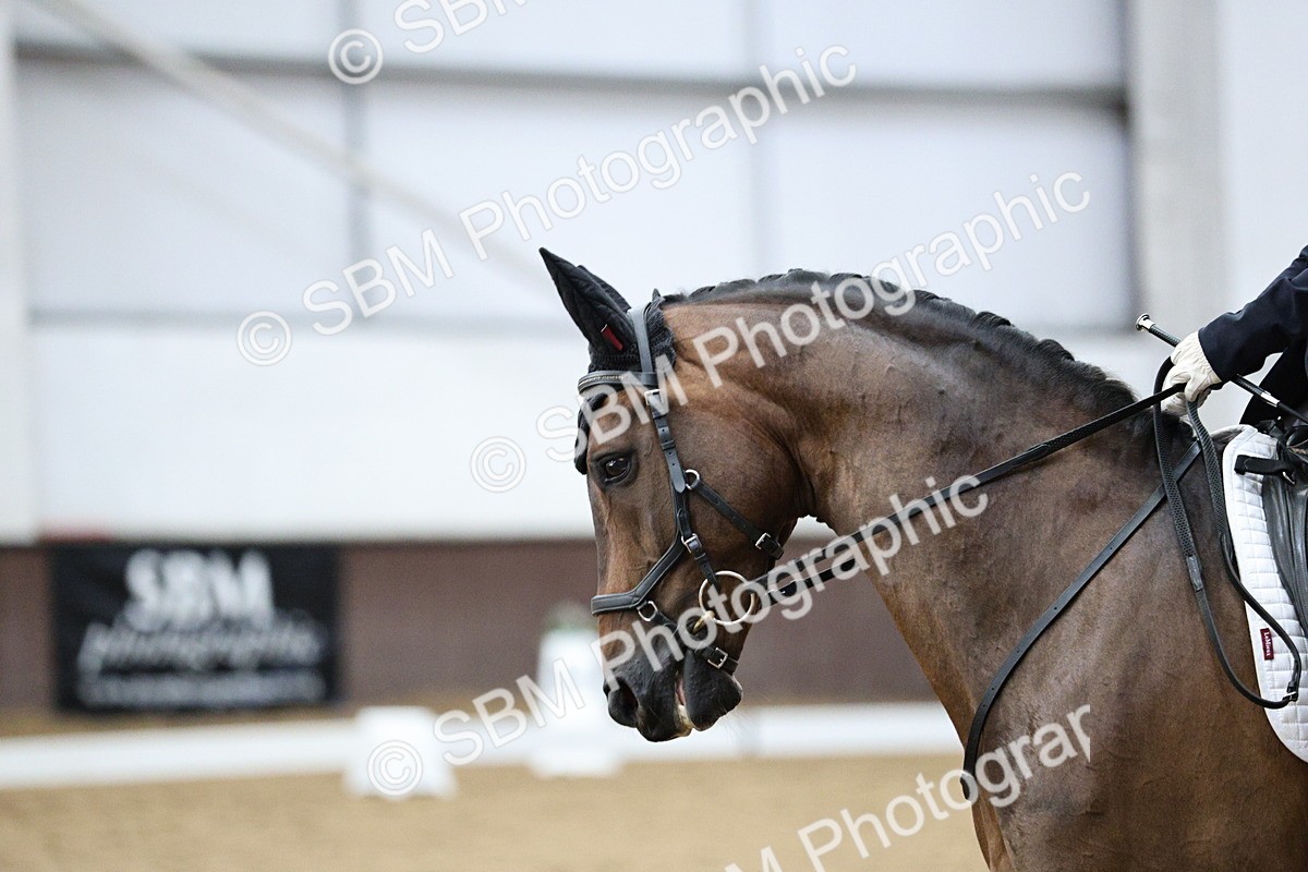 SBM_001146 - Class 5 - Novice 6