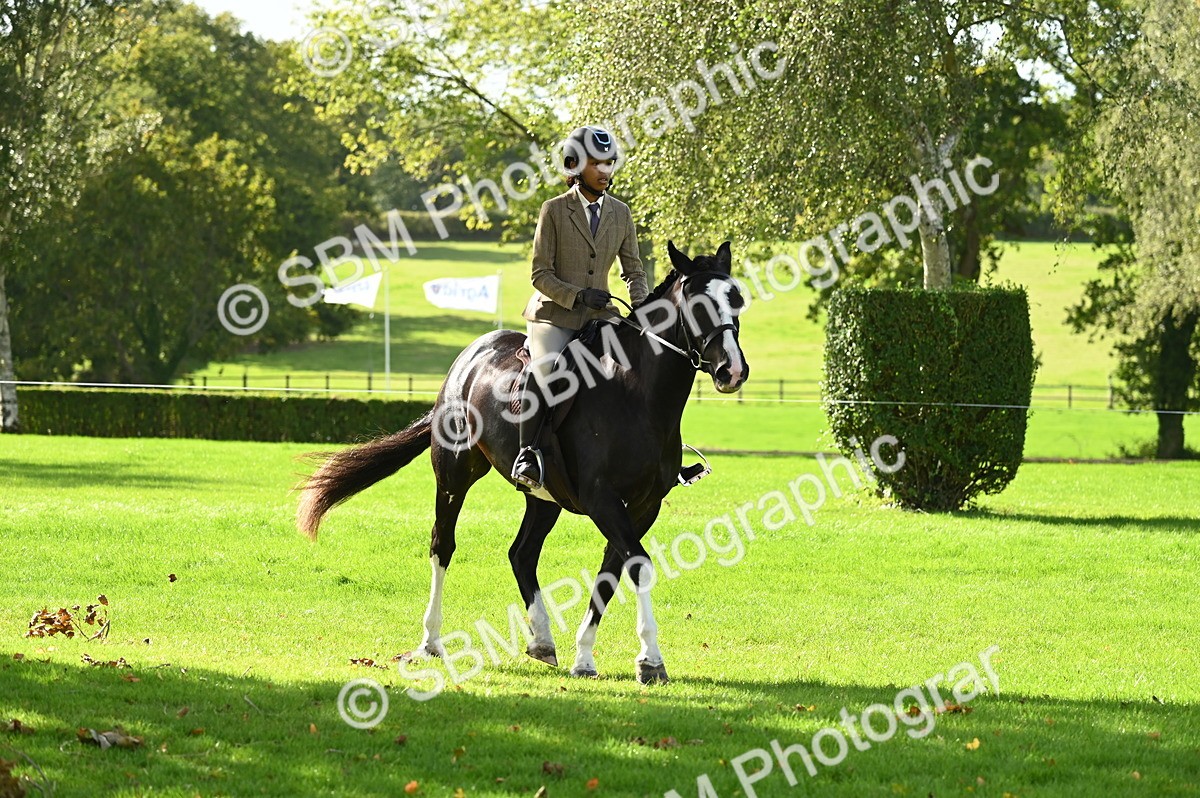SBM_01514 - S2 - TSR Ridden Horse Showing
