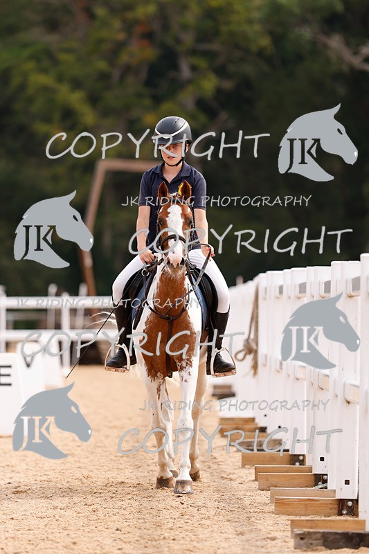 _R6A2581 - Dressage Morning