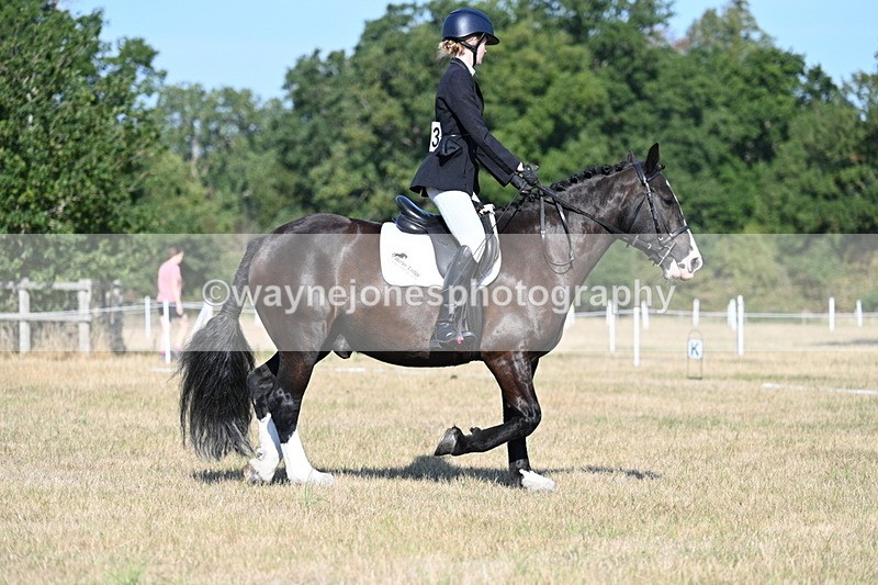 WJ7_9134 - Time 09:27 to 10:03