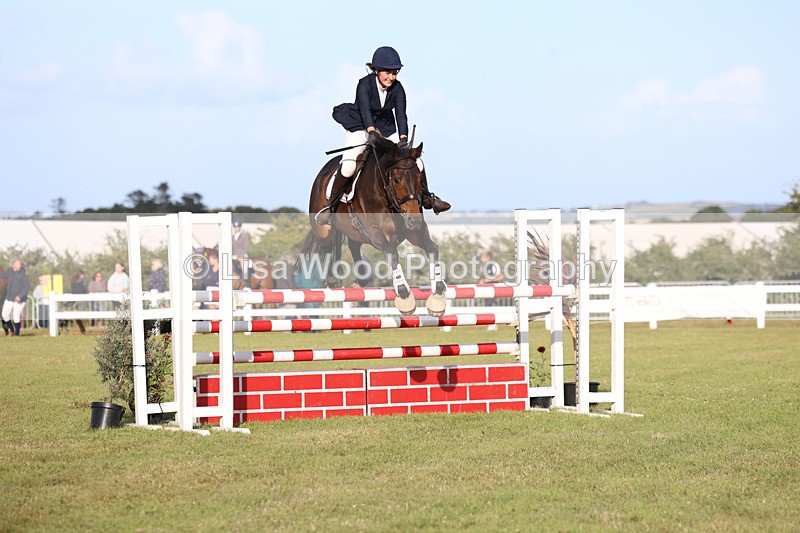 3E7A4661 - Class C1: Showjumping Senior Newcomers/1.10m open